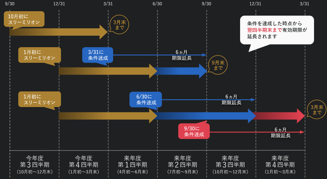 スリーミリオン倶楽部・有効期限の一例