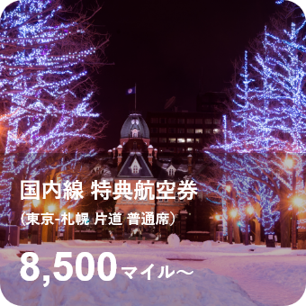 国内線マイルイメージ