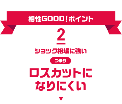 相性GOOD!ポイント2 ショック相場に強い