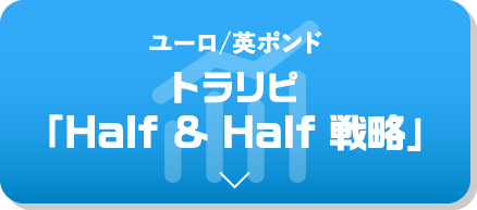 ユーロ/英ポンド × 豪ドル/NZドル 最強通貨ペアシリーズ トラリピオススメ設定