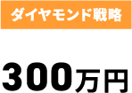 ダイヤモンド戦略 300万円