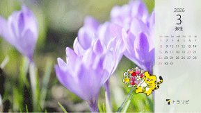 2026年3月
