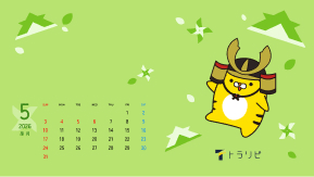2026年5月